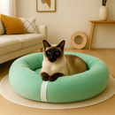Cama Nuvem Felino Premium + BRINDE