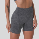 Short Fitness Feminino Sport